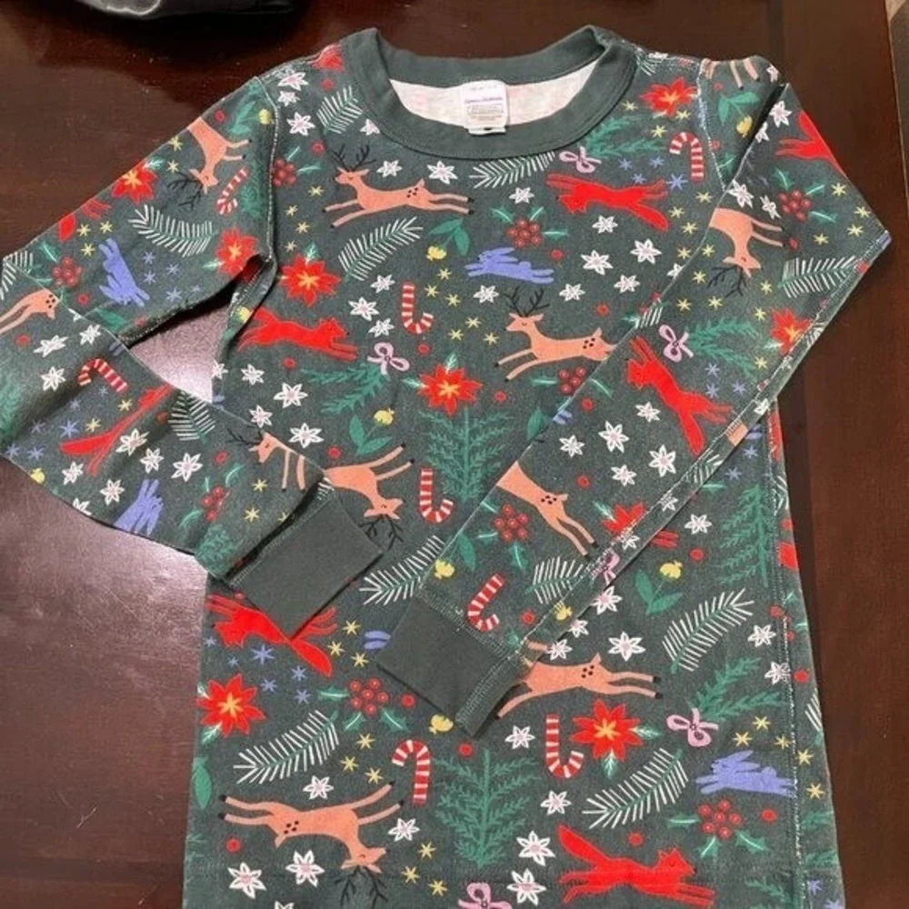 Hanna Andersson Winter Wonderland Pajama Cotton  Set Long Sleeve 2-Piece Size 10